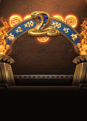Dachbet casino login